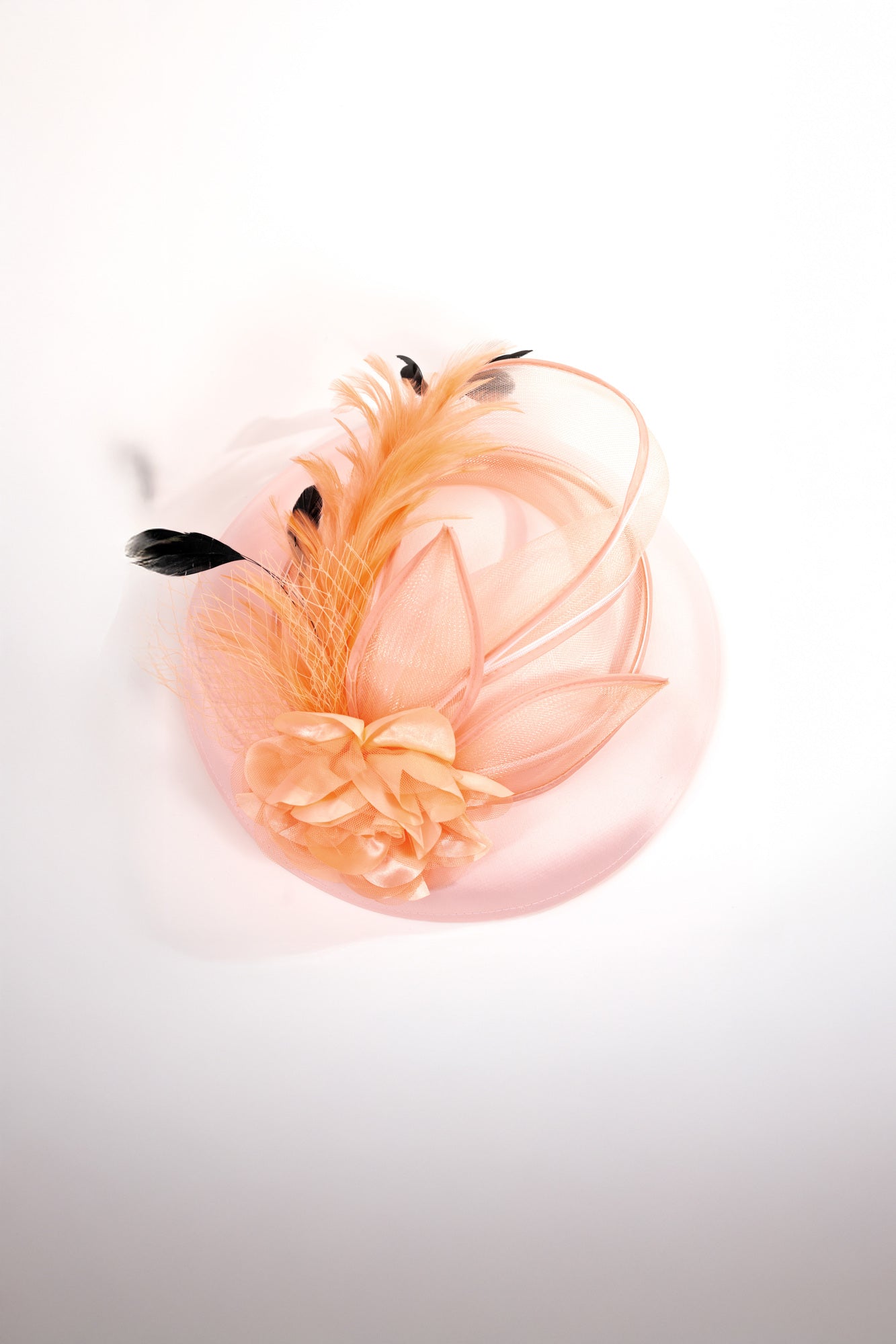 Rose & Feathers Fascinator Hat