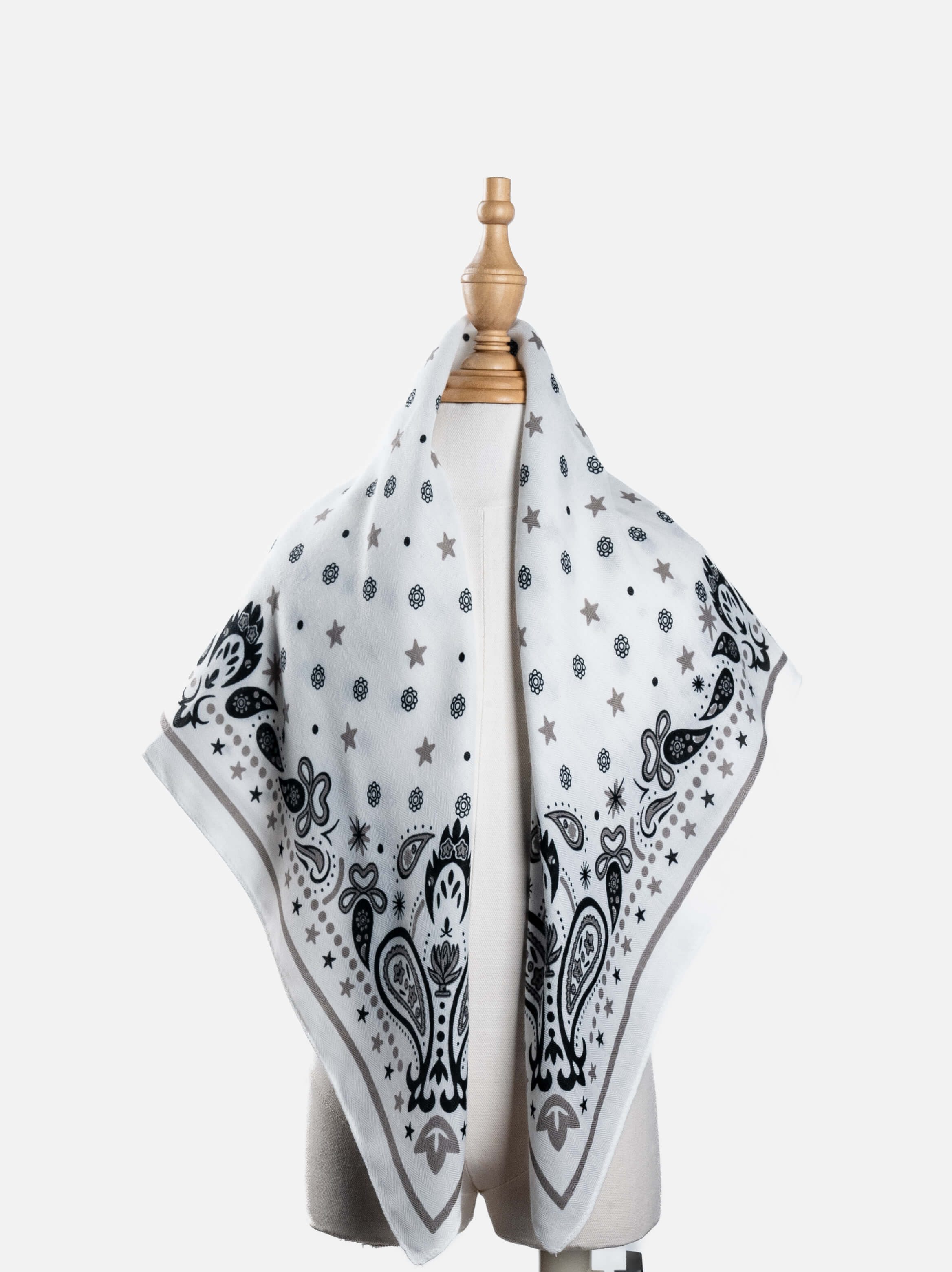 Star Paisley Print Scarf