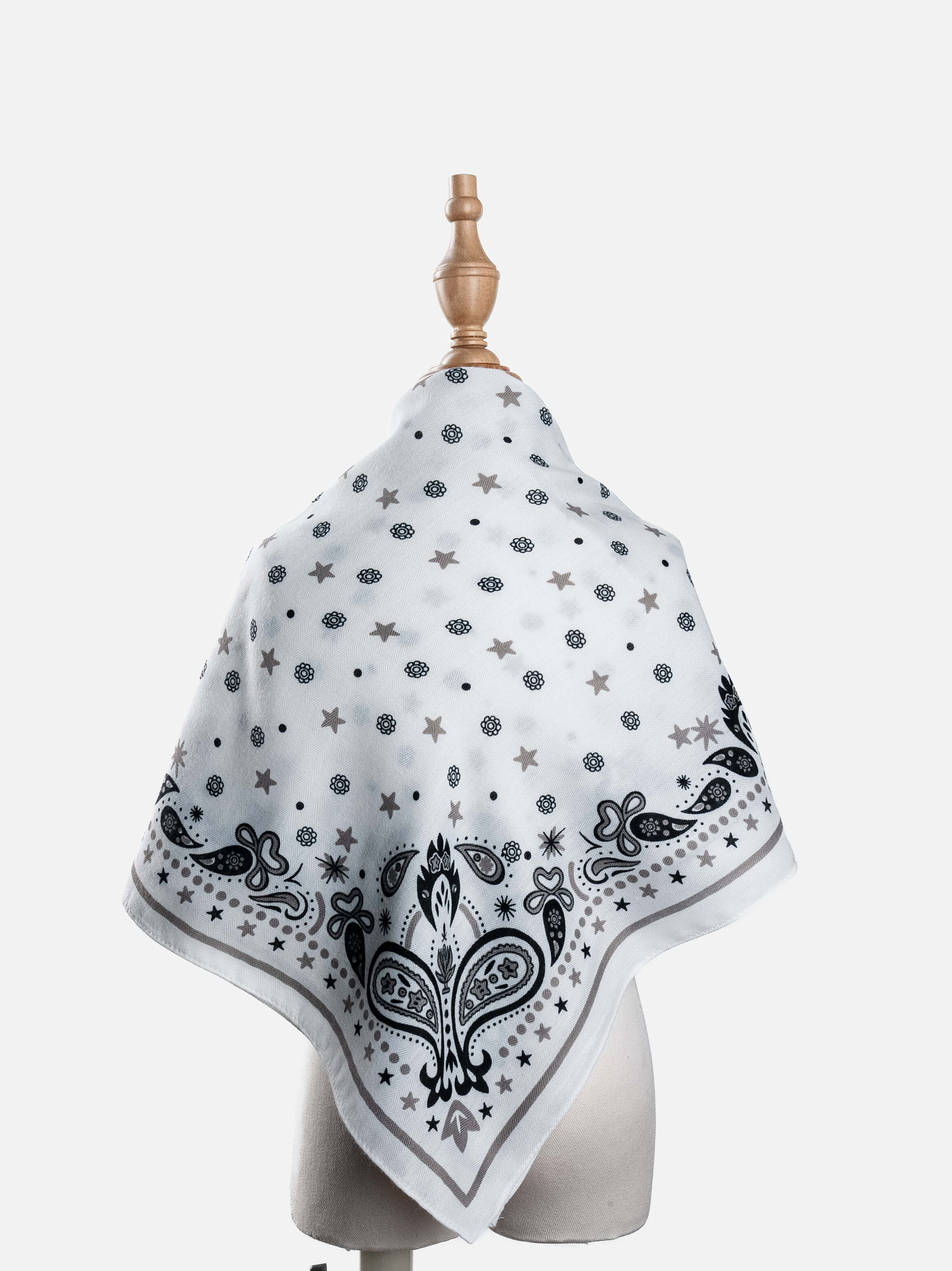 Star Paisley Print Scarf